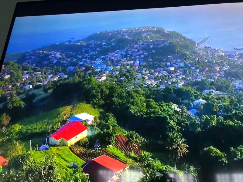 CIty  of Kingstown from Dorsetshire Hill