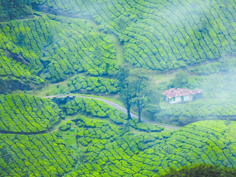 Munnar