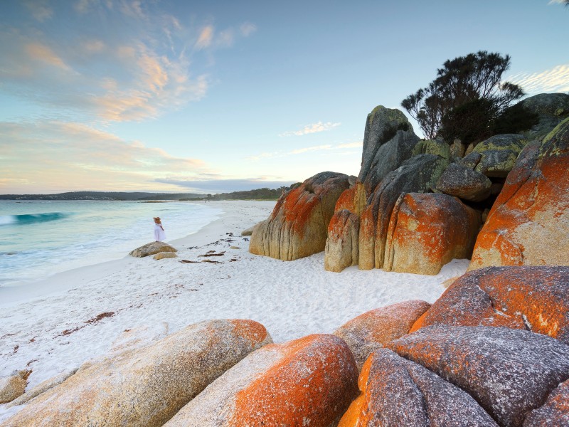 Höhepunkte Tasmaniens