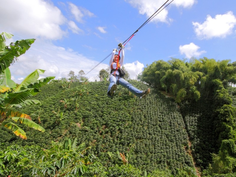 El Bosque del Samán - Canopy