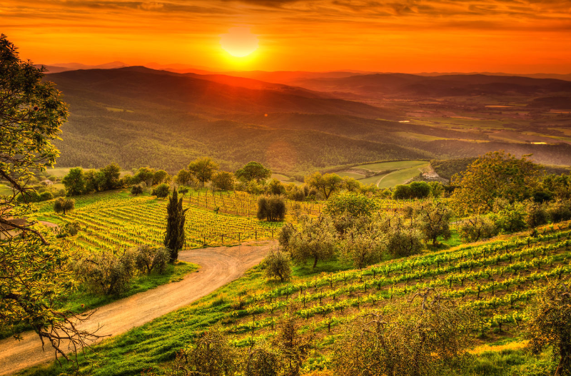 Chianti