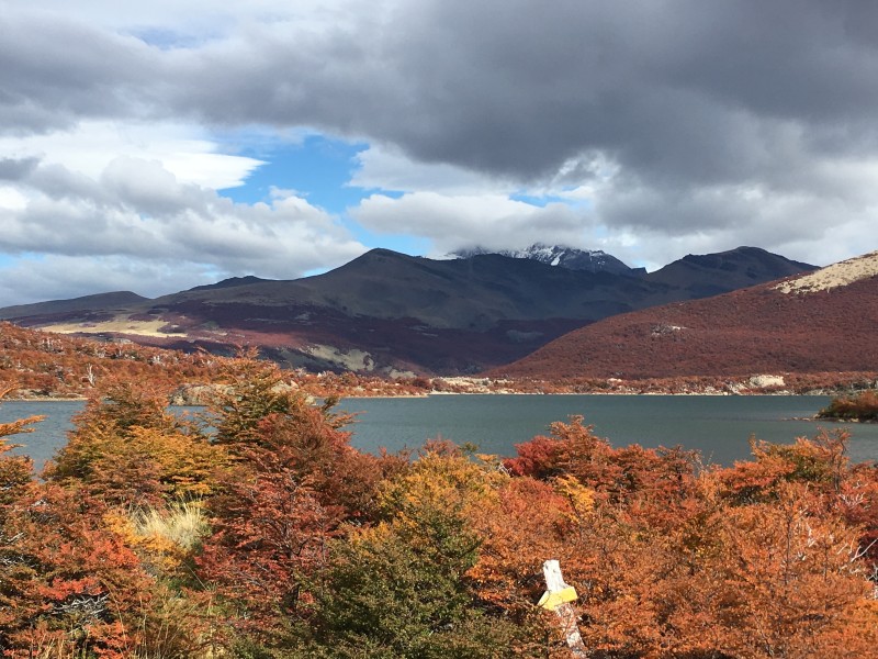 El Chalten - Laguna de los Tres