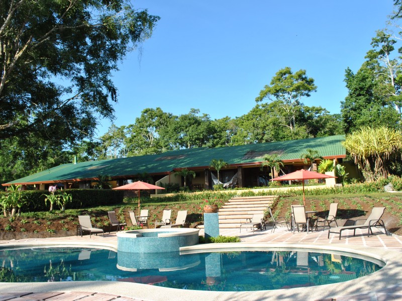 Villa Florencia - Pool