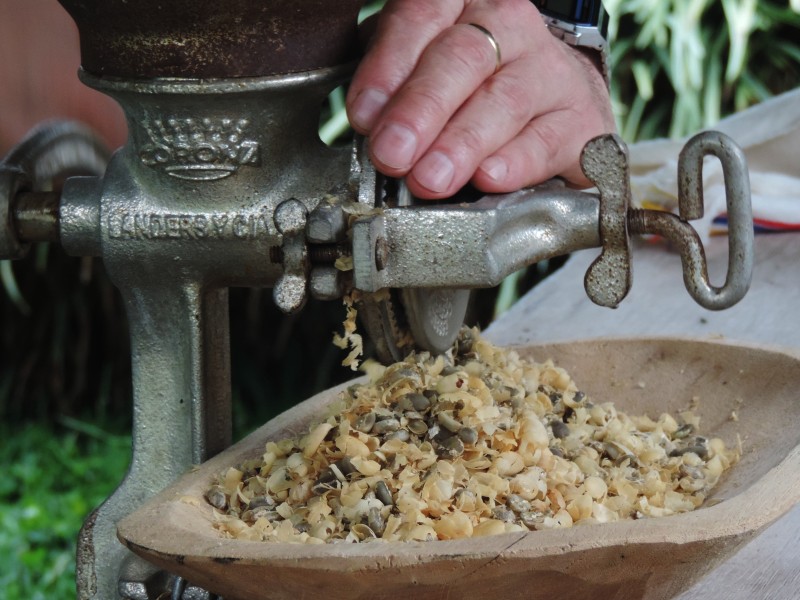 Coffee  hacienda