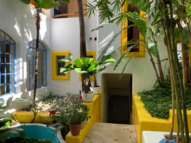 Luna Líquida - Patio