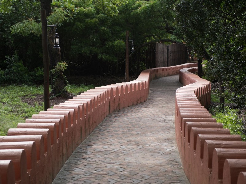 Pathway Through Greenery, Prison Island