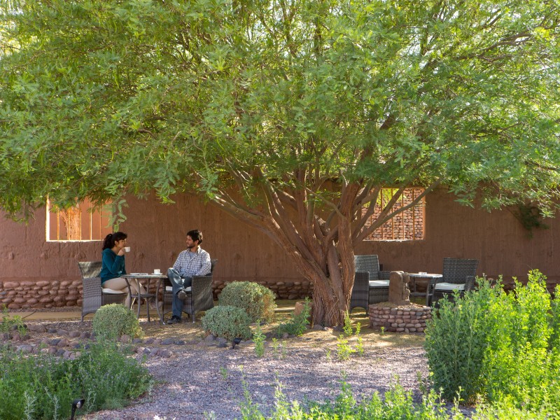 Altiplanico - Garten