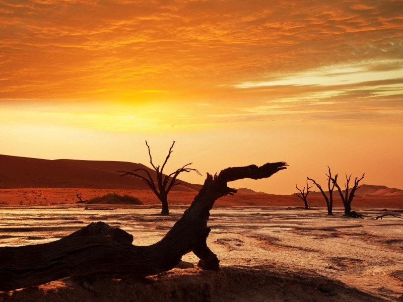 Best of Namibia für Einsteiger