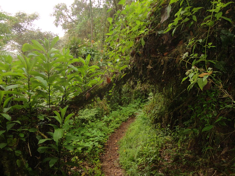 Naturschutzgebiet Bellavista