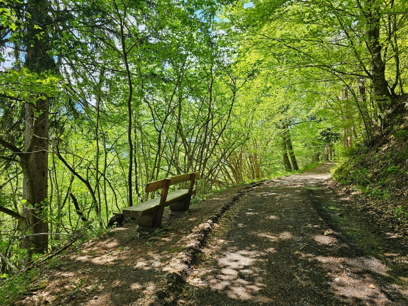 hiking near Kranjska Gora