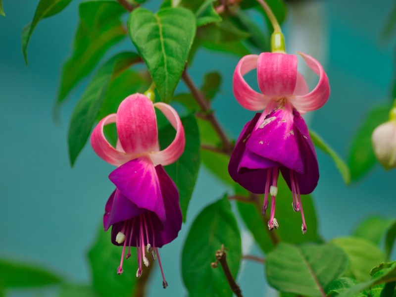 flora fauna- day 11