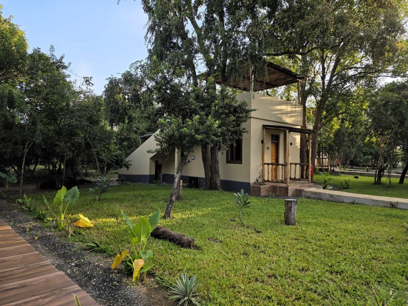 Africa Safari Nyerere