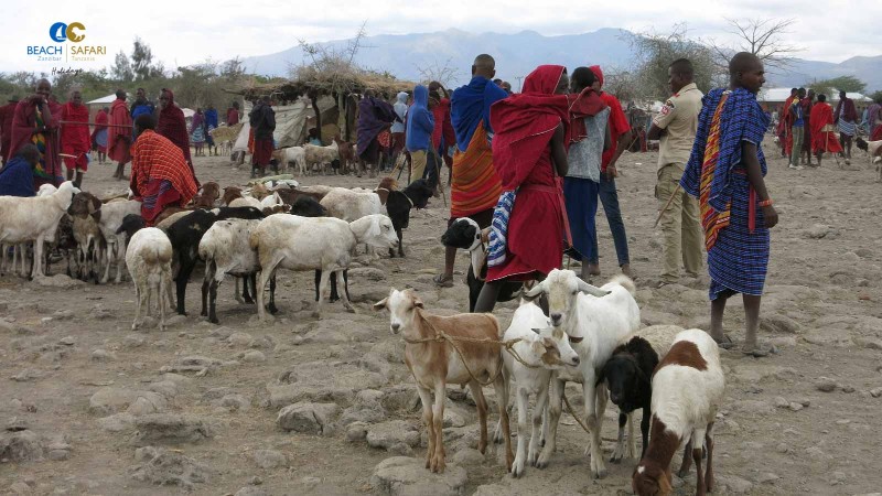 Maasai Market Tour in Mto wa Mbu