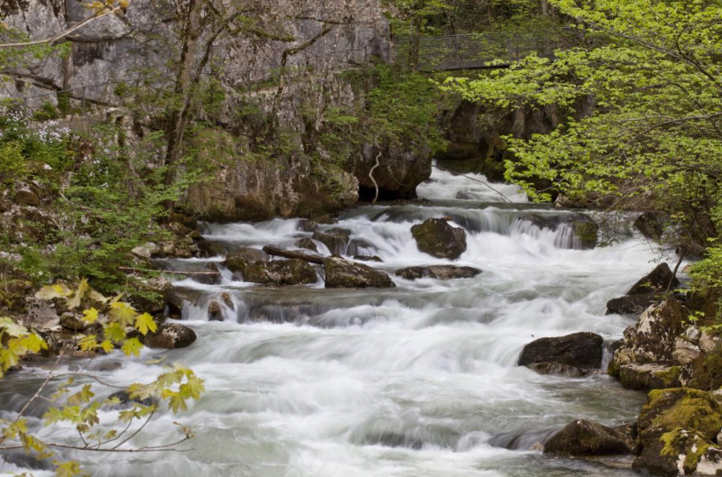 Taubenloch Gorge Trail