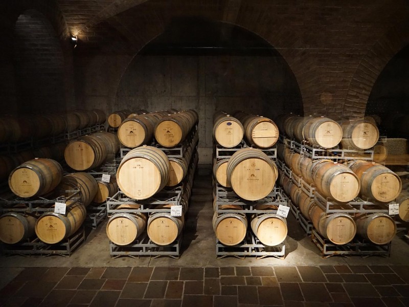 Mendoza - Weinkeller