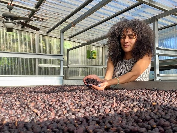 Boquete Coffee Experience: Tasting & Pla