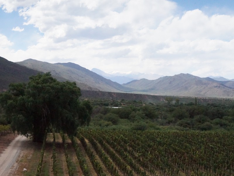 Estancia Colome - Reben