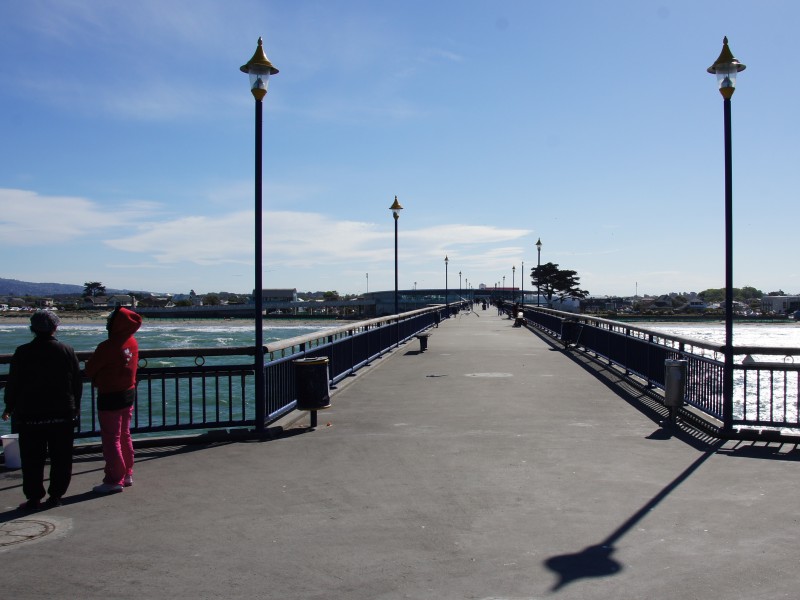 suedinsel-christchurch-neuseeland