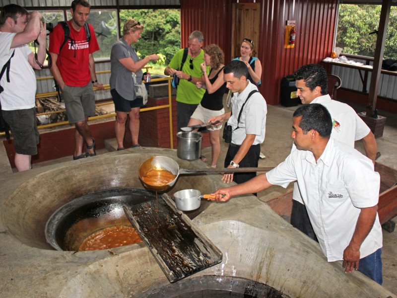 Zuckerrohr - Trapiche Tour
