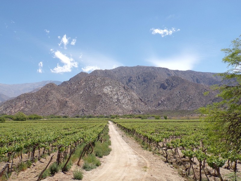 Weinregion Cafayate