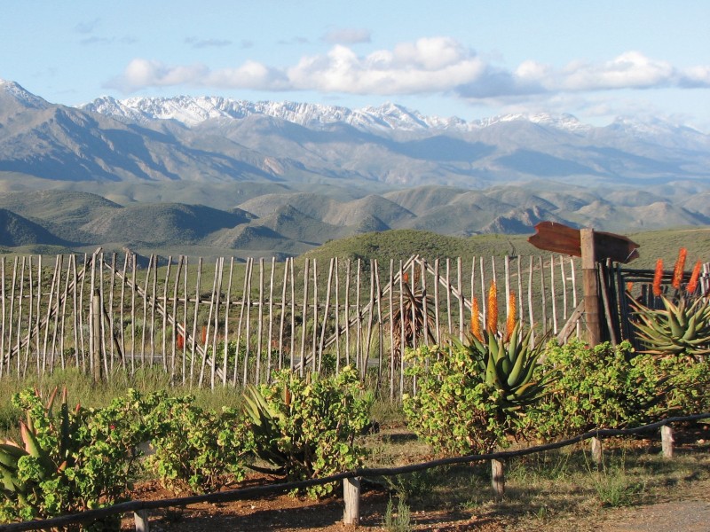 South Africa - Oudtshoorn