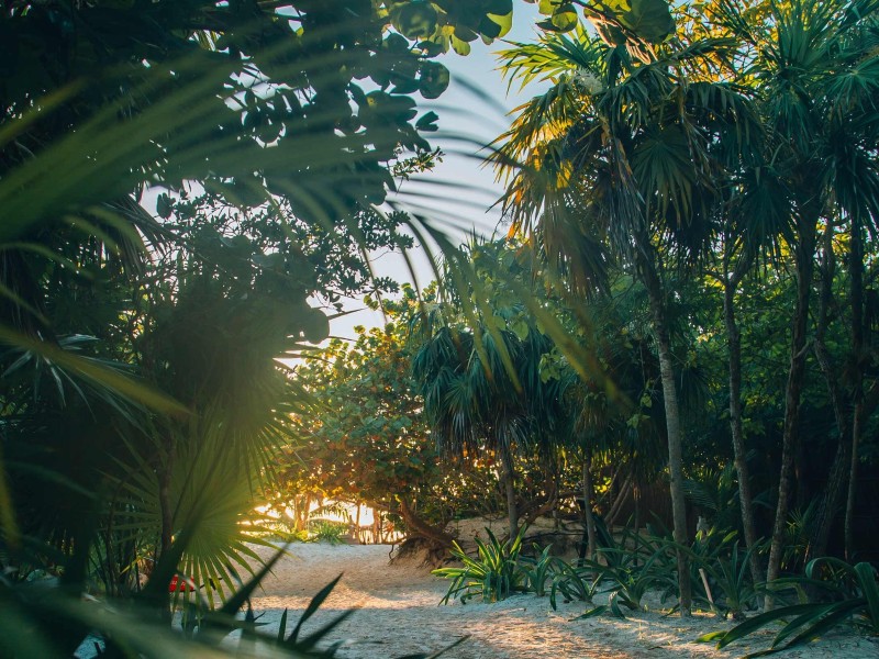 Ikal Tulum - Weg zum Strand