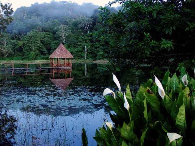 Maquenque Eco Lodge - Lagune