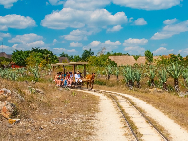 Hacienda Sotuta de Peon - Eselkarre