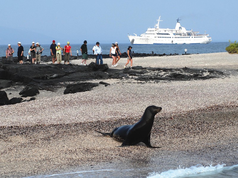 Die Galapagos Legend