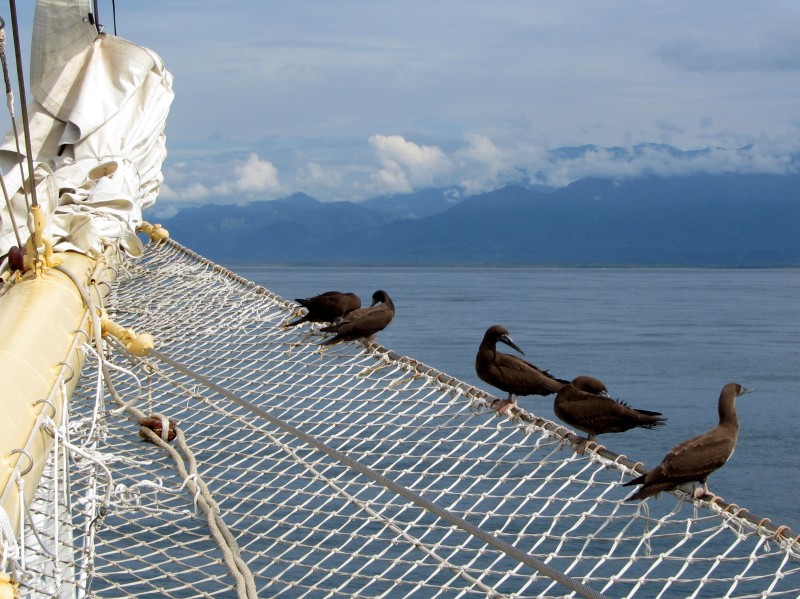 Star Clippers - Quepos 