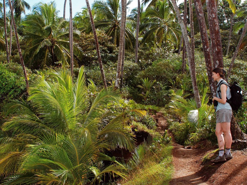 Corcovado National Park