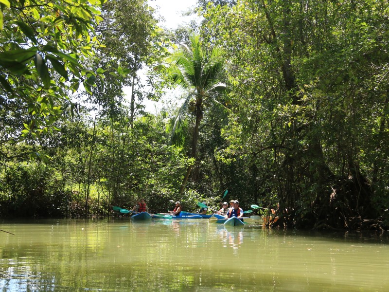 Kayaktour - Manuel Antonio