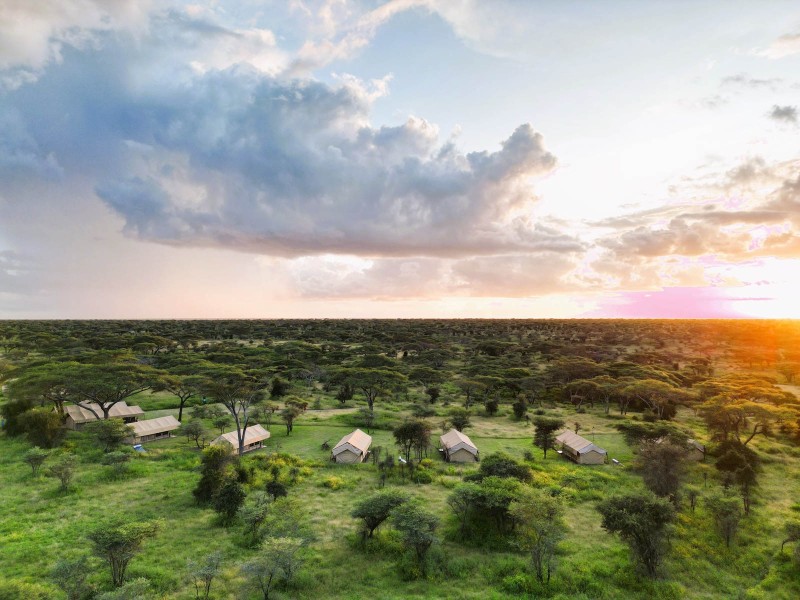 South Serengeti View