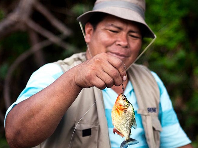 Iquitos Amazon Jungle