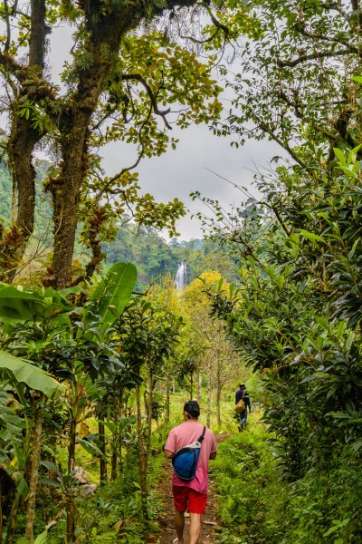 Kilimanjaro Cultural Walking Tour