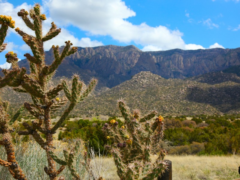 USA - New Mexico - Albuquerque
