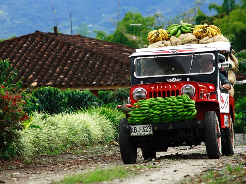 Willys Jeep Kaffeezone