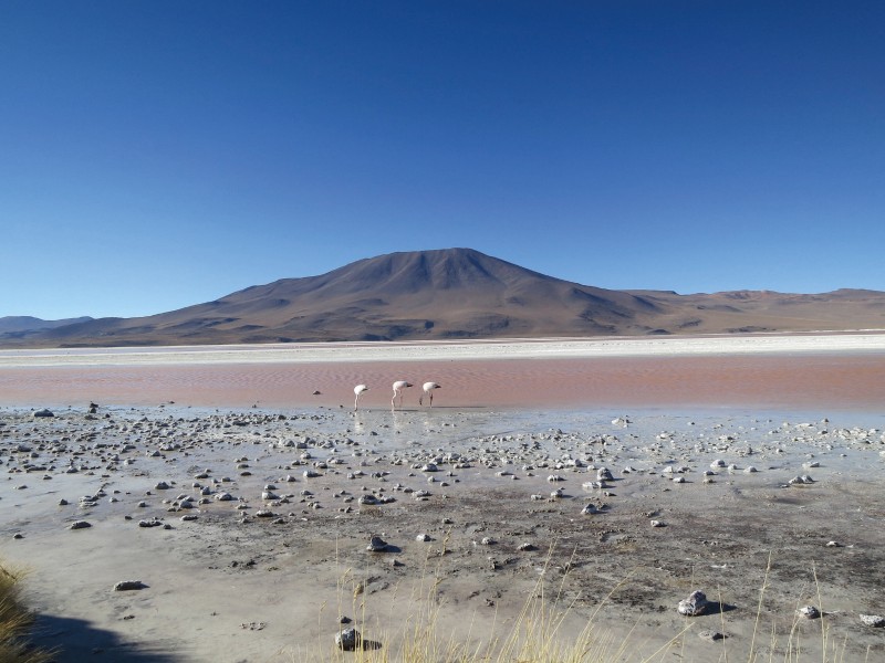 Atacama Wüste