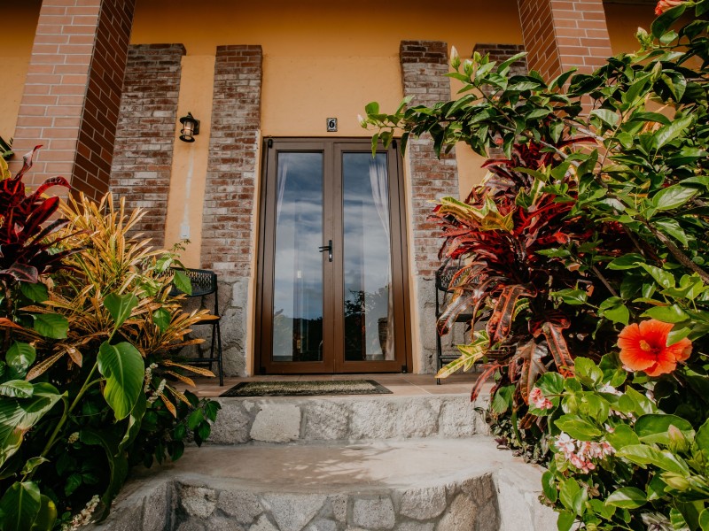 Golden Frog Inn - Eingang