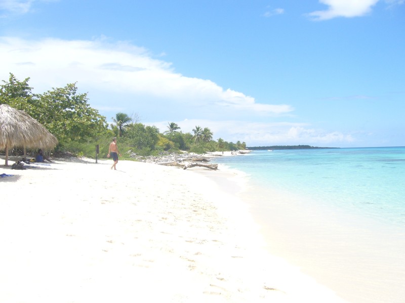 Insel Catalina