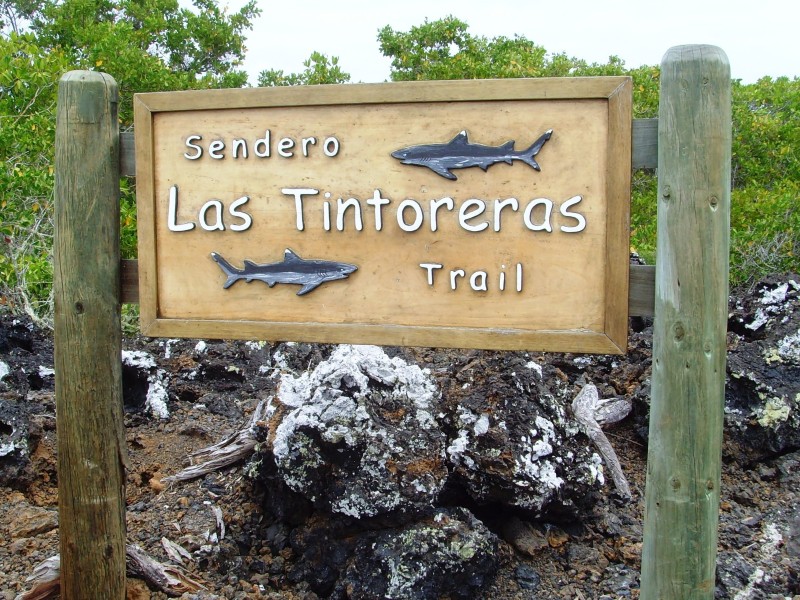 Las Tintoreras