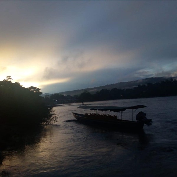 Sunset at the jungle