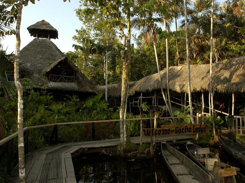 Sacha Lodge
