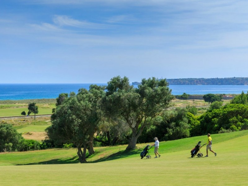 Palmares GC