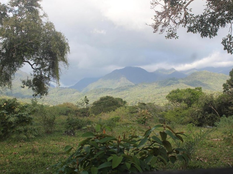 Coffee Mountain Inn - Landschaft