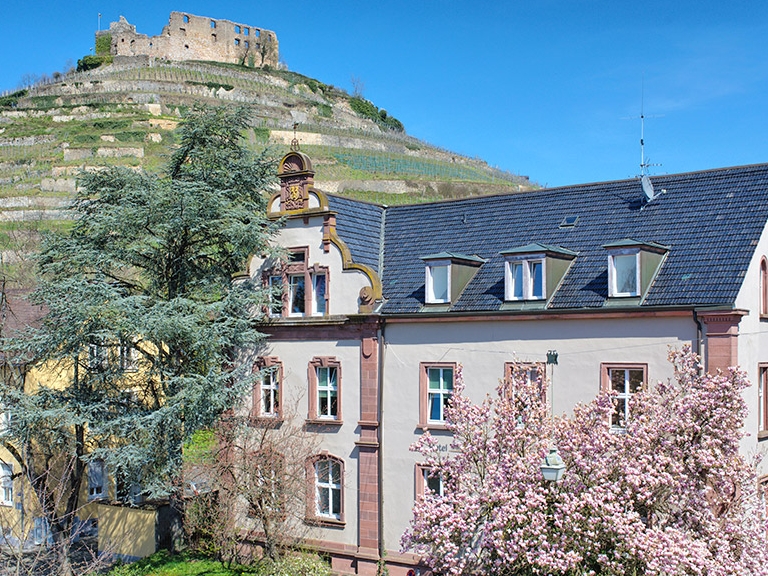 Haus Goethe, Staufen