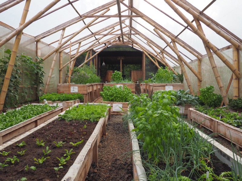 Macaw Lodge - Gewächshaus