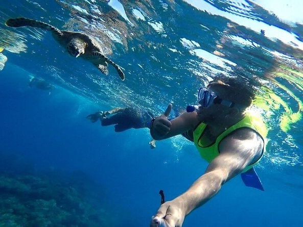Snorkeling Tour in Caño Island 
