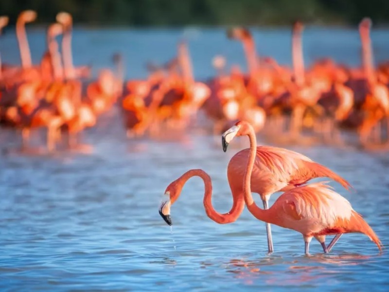 Lake Nakuru National Park