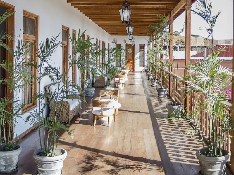 Viñas Queirolo_Terrasse